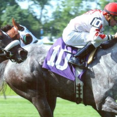 Double The Energy runs 1st Place @ Belmont On 6/15/14