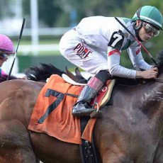 Palace runs 1st Place @ Belmont On 6/6/14
