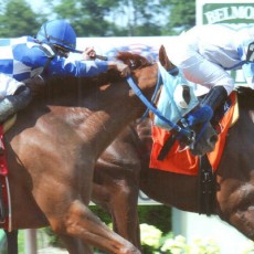 Pretension runs 1st Place @ Belmont On 6/14/14