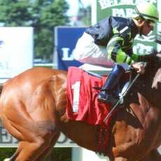 Your Move runs 1st Place @ Belmont On 6/15/14