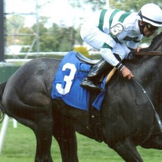 A P Johnson runs 1st Place @ Belmont On 9/20/14