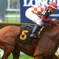 Bigger Picture runs 1st Place @ Belmont On 9/21/14