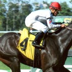 First Bid runs 1st Place @ Belmont On 9/17/14