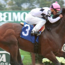 Celebrated Talent runs 1st Place @ Belmont On 10/4/14