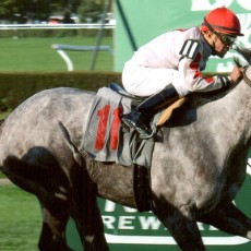 Double The Energy runs 1st Place @ Belmont On 10/17/14