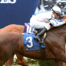 Joshans Giant runs 1st Place @ Belmont On 10/1/14