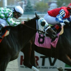 Betty Brown Nose runs 1st Place @ Aqueduct On 10/29/14