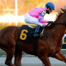 Hot City Girl runs 1st Place @ Aqueduct On 11/15/14