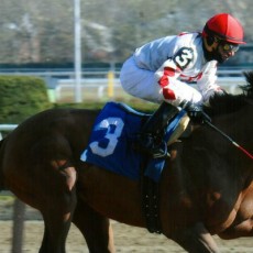 Mischievously runs 1st Place @ Aqueduct On 11/21/14