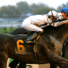 Oltre’ Oro runs 1st Place @ Aqueduct On 11/6/14