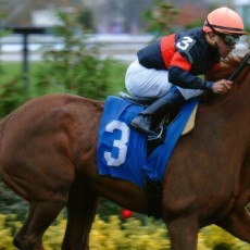 Queen Corey runs 1st Place @ Aqueduct On 10/31/14