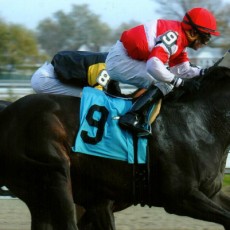 Scat Away runs 1st Place @ Aqueduct On 11/9/14