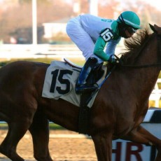 Touching My Toes runs 1st Place @ Aqueduct On 11/21/14