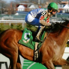 Bounty Pink runs 1st Place @ Aqueduct On 11/28/14