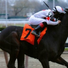 Hidden Warrior runs 1st Place @ Aqueduct On 11/30/14