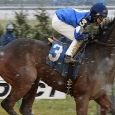 Joe Mooch runs 1st Place @ Aqueduct On 12/10/14