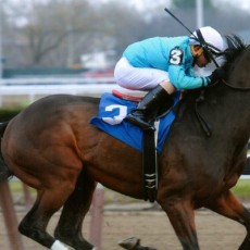 North Ocean runs 1st Place @ Aqueduct On 11/30/14