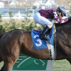 North Ocean runs 1st Place @ Aqueduct On 12/14/14