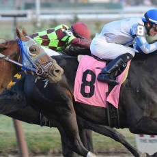 Oltre’ Oro runs 1st Place @ Aqueduct On 12/13/14