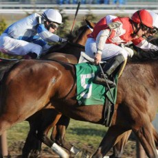 Zippity Zoom runs 1st Place @ Aqueduct On 12/27/14