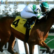 Good Shot runs 1st Place @ Aqueduct On 1/9/15