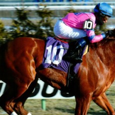 Hot City Girl runs 1st Place @ Aqueduct On 1/11/15