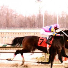 Jigsaw runs 1st Place @ Laurel Park On 1/15/15