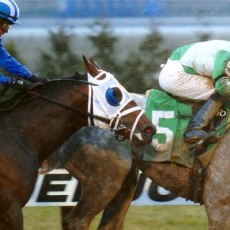 On Tap runs 1st Place @ Aqueduct On 1/3/15