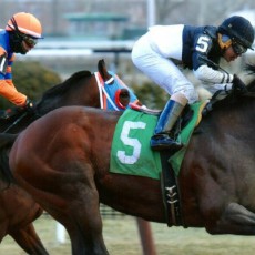 Son of a General runs 1st Place @ Aqueduct On 1/16/15