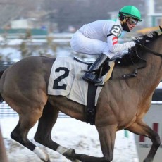 Flag on the Play runs 1st Place @ Aqueduct On 1/30/15