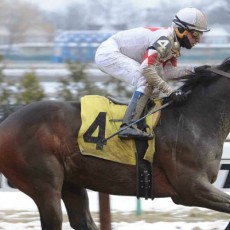 Private Thrill runs 1st Place @ Aqueduct On 2/8/15