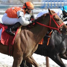 Unrepenting runs 1st Place @ Aqueduct On 2/5/15