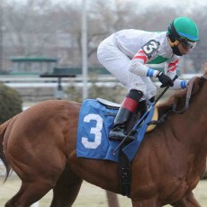 Gypsum Johnny runs 1st Place @ Aqueduct On 3/15/2015