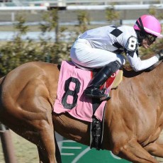 Jazzminegem runs 1st Place @ Aqueduct On 3/12/2015