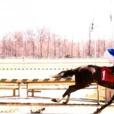 Justoneofakind runs 1st Place @ Laurel Park On 3/15/15