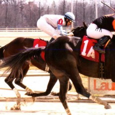 Little Love runs 1st Place @ Laurel Park On 3/15/15