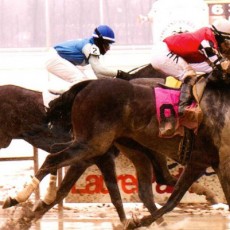 Medaglia D’Argento runs 1st Place @ Laurel Park On 3/20/2015