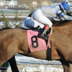 Mighty Zealous runs 1st Place @ Aqueduct On 2/27/15