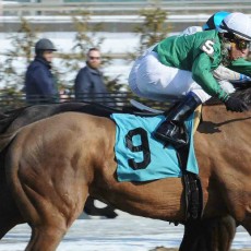 Pretension runs 1st Place @ Aqueduct On 3/8/2015
