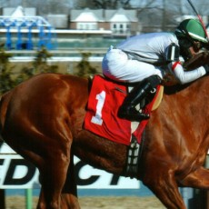 Sheriffa runs 1st Place @ Aqueduct On 3/19/2015