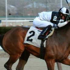 Captain Serious runs 1st Place @ Aqueduct On 4/2/2015