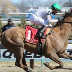 Empower runs 1st Place @ Aqueduct On 3/19/2015