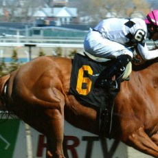 Jazzminegem runs 1st Place @ Aqueduct On 4/2/2015