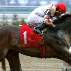 Medaglia D’Argento runs 1st Place @ Aqueduct On 4/10/2015