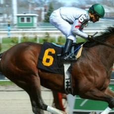 Point Hope runs 1st Place @ Aqueduct On 4/16/2015