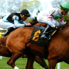 Bigger Picture runs 1st Place @ Belmont On 4/30/2015