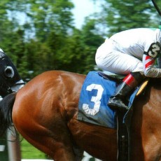 Bounty Pink runs 1st Place @ Belmont On 5/20/2015