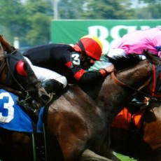 Erik The Red runs 1st Place @ Belmont On 6/11/2015