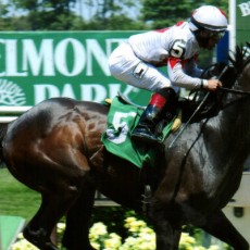 Hidden Warrior runs 1st Place @ Belmont On 5/31/2015