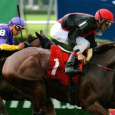 Privately Speaking runs 1st Place @ Belmont On 7/8/2015